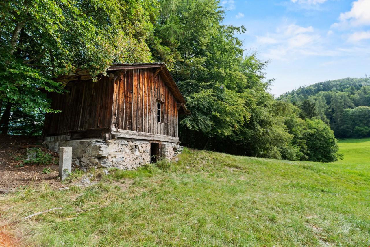 Domaine agricole de montagne - Image# 14