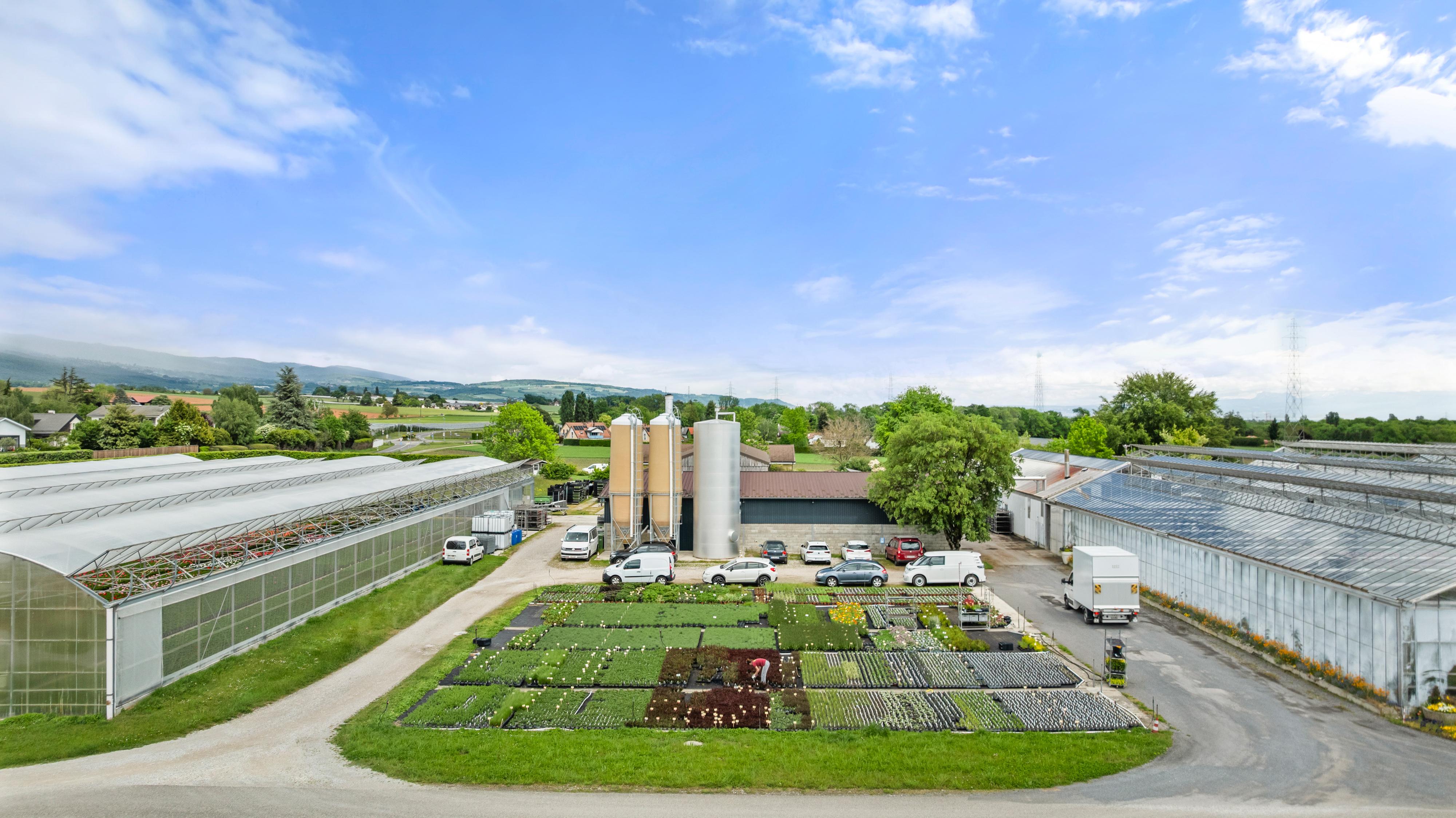 Cession d'une entreprise horticole de référence en Suisse romande - Image# 9