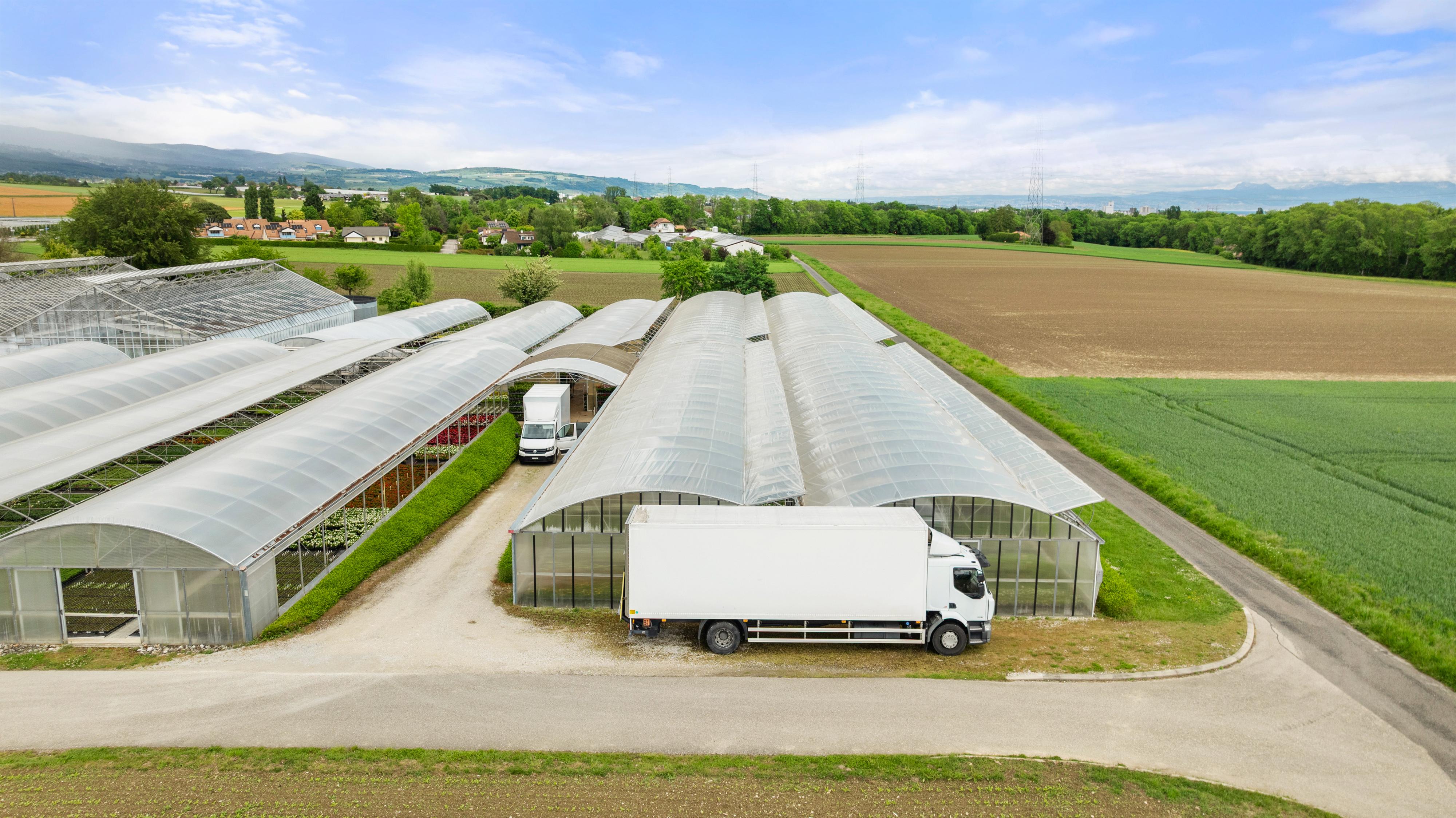 Cession d'une entreprise horticole de référence en Suisse romande - Image# 12