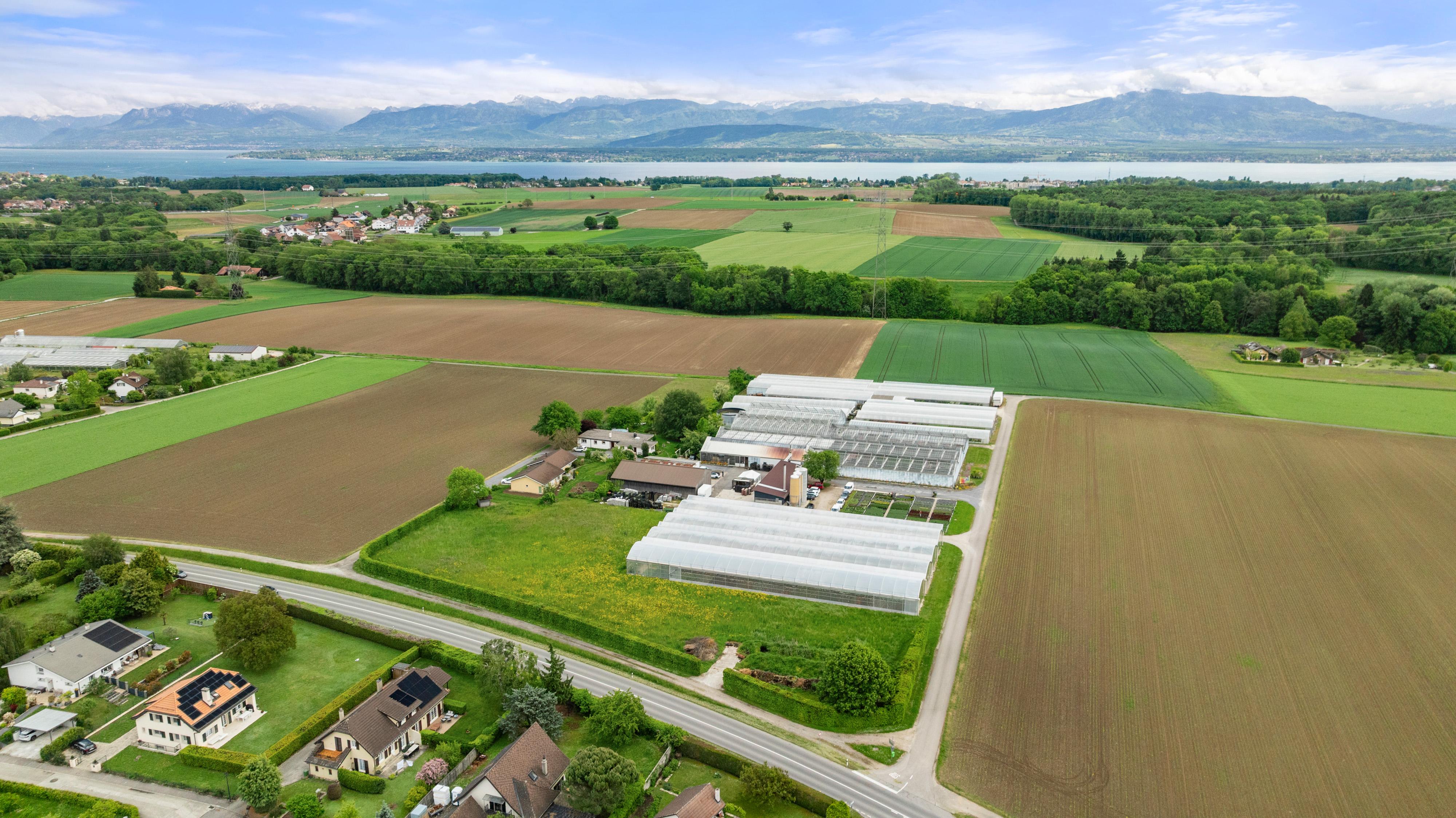 Cession d'une entreprise horticole de référence en Suisse romande - Image# 1